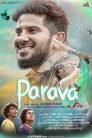 Parava