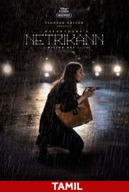 Netrikann